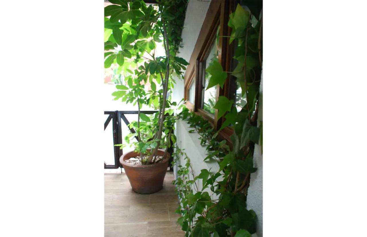 Casa Del Mediterraneo La Herradura  Ngoại thất bức ảnh
